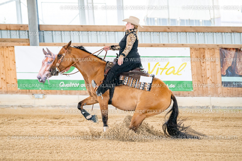 DSC05438 | Pferdegrafie