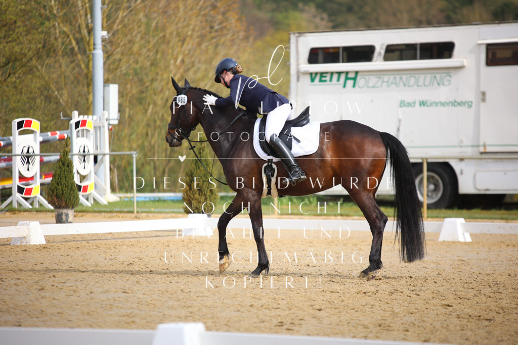 IMGT6131 | pl-fotografie