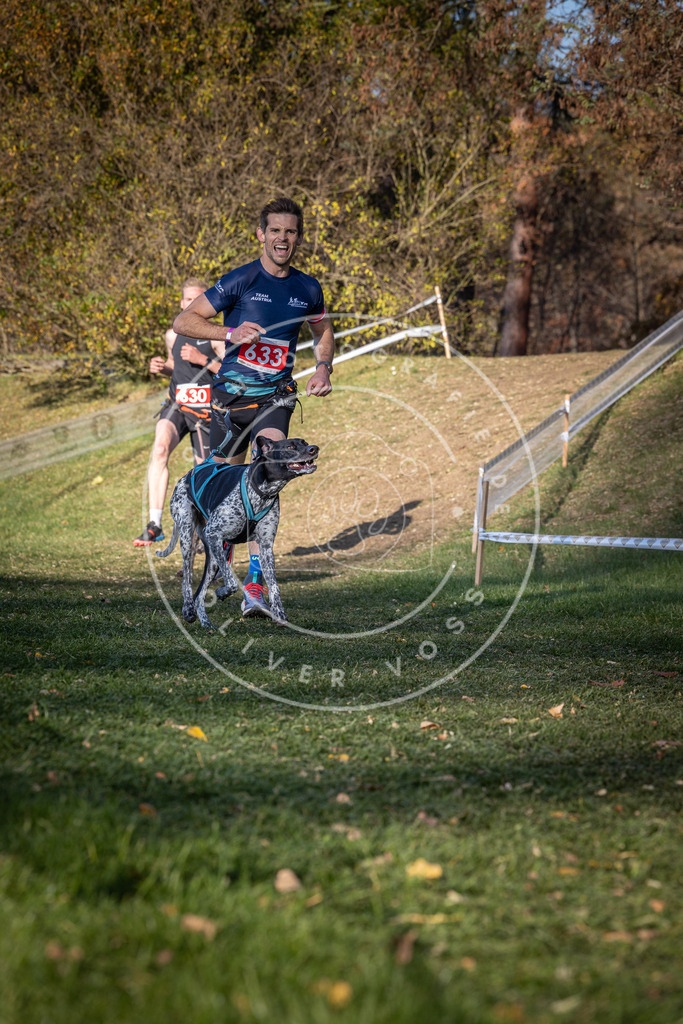 CaniXpix_0L8A8884 | Hundefotografie, Tierfotograf, Pfotenfotografie, Fotoshooting Hund, Hunde Portrait, Hundesport, Hundeportraits, Heideshooting, Hunde, Sportfotograf, Hundefotograf, Turnierhundsport, THS,  - Realisiert mit Pictrs.com