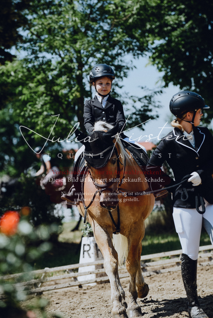 DSC_2504 | Pferde- und Turnierfotografie in Westsachsen. Pferdeportraits, Auftragszeichnungen und intuitive Kunst.