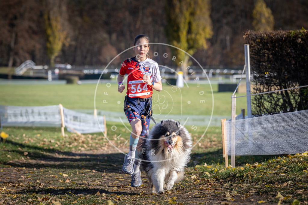 CaniXpix_DV3A8752 | Hundefotografie, Tierfotograf, Pfotenfotografie, Fotoshooting Hund, Hunde Portrait, Hundesport, Hundeportraits, Heideshooting, Hunde, Sportfotograf, Hundefotograf, Turnierhundsport, THS,  - Realisiert mit Pictrs.com