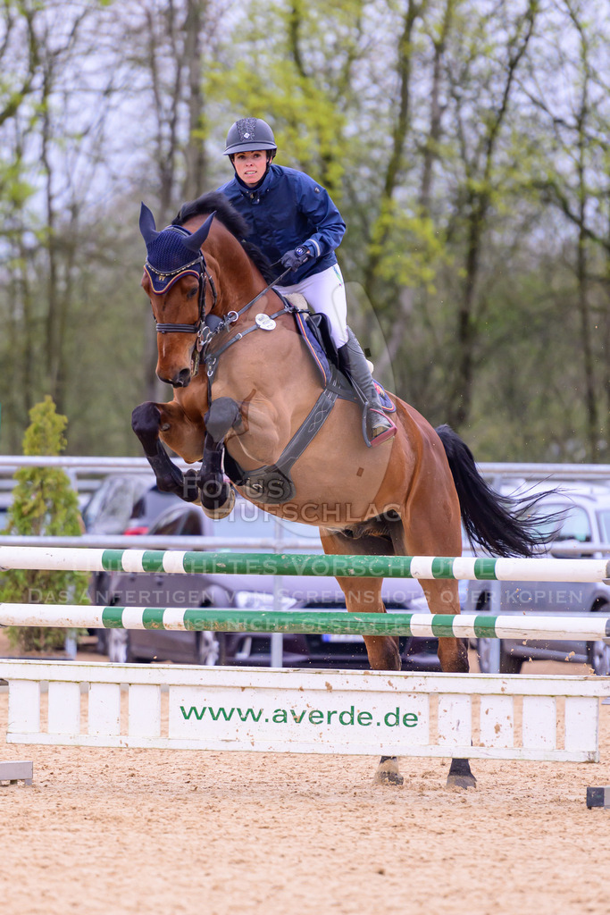12042026-Mammendorf-Prfg42-0046 | Fokus Hufschlag Fotografie - Realisiert mit Pictrs.com