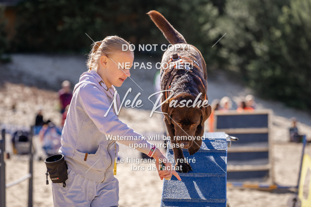 NR__0731 | nelerasche