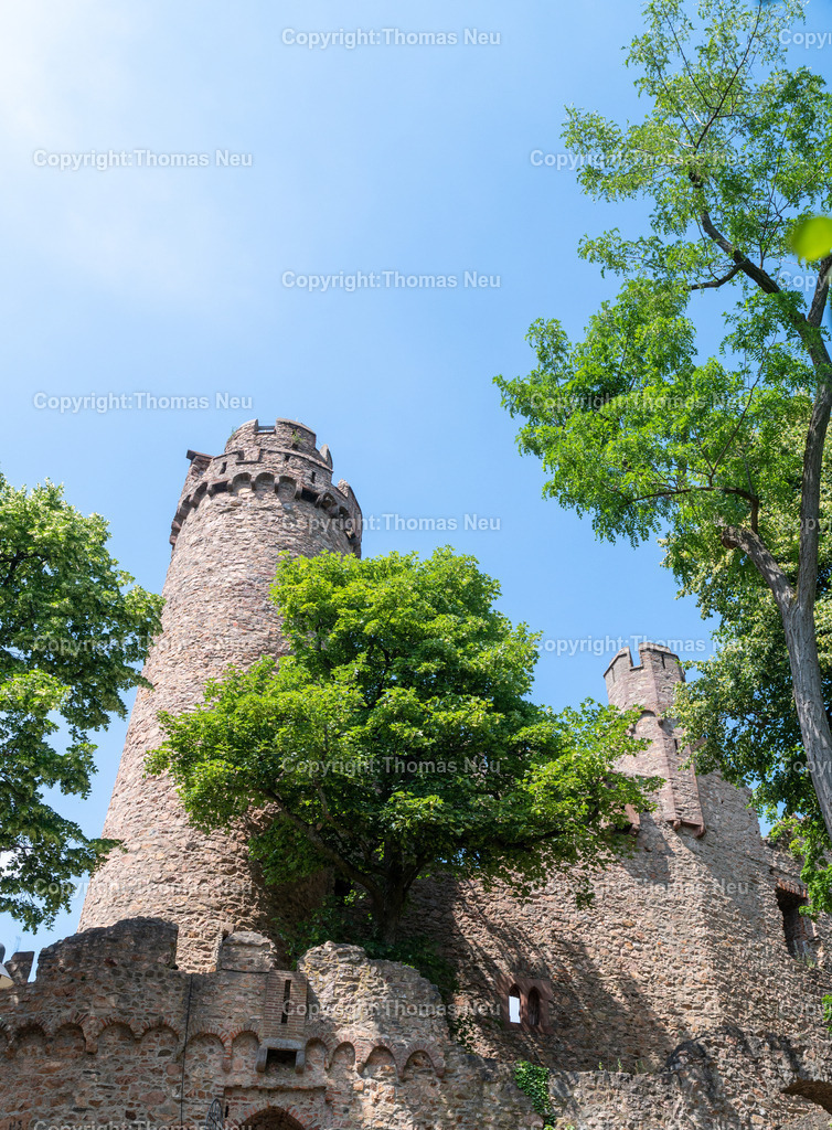 DSC_0702 | Schloss Auerbach,  Burgruine an der Hessischen Bergstraße im Bensheimer Stadtteil Auerbach,  Bild: Thomas Neu