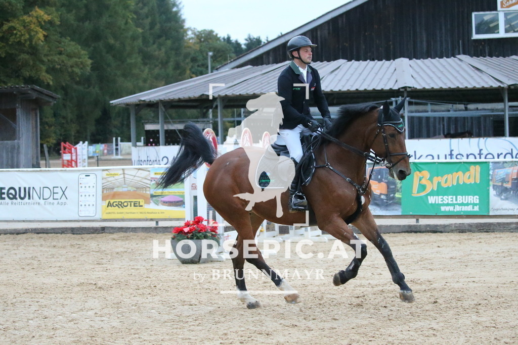 DL2Q6733 | Willkommen bei Brunnmayr - Design & Fotografie – Ihrem Spezialisten für Reitturniere und Pferdeveranstaltungen in Oberösterreich, Salzburg und Bayern! Seit über 17 Jahren sind wir leidenschaftlich dabei.