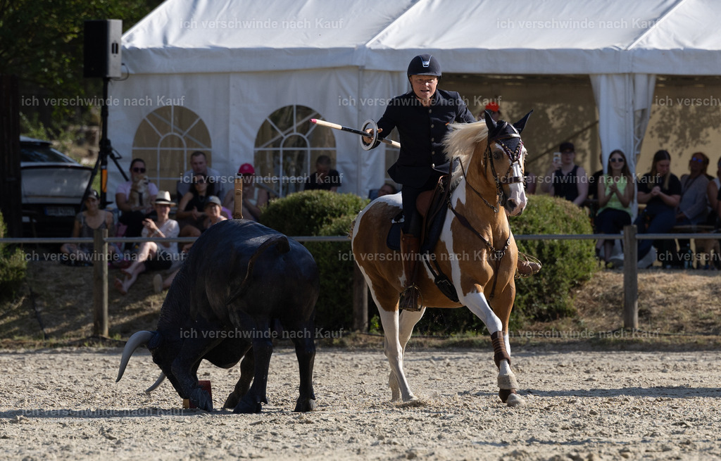 WS_SPEED_122_KerstinBernhardt-5 | working equitationturnier fotograf videograf stoibphotography marixx film working equitation deutschland reitsport turnierfotografie eventfotografie equestrian events