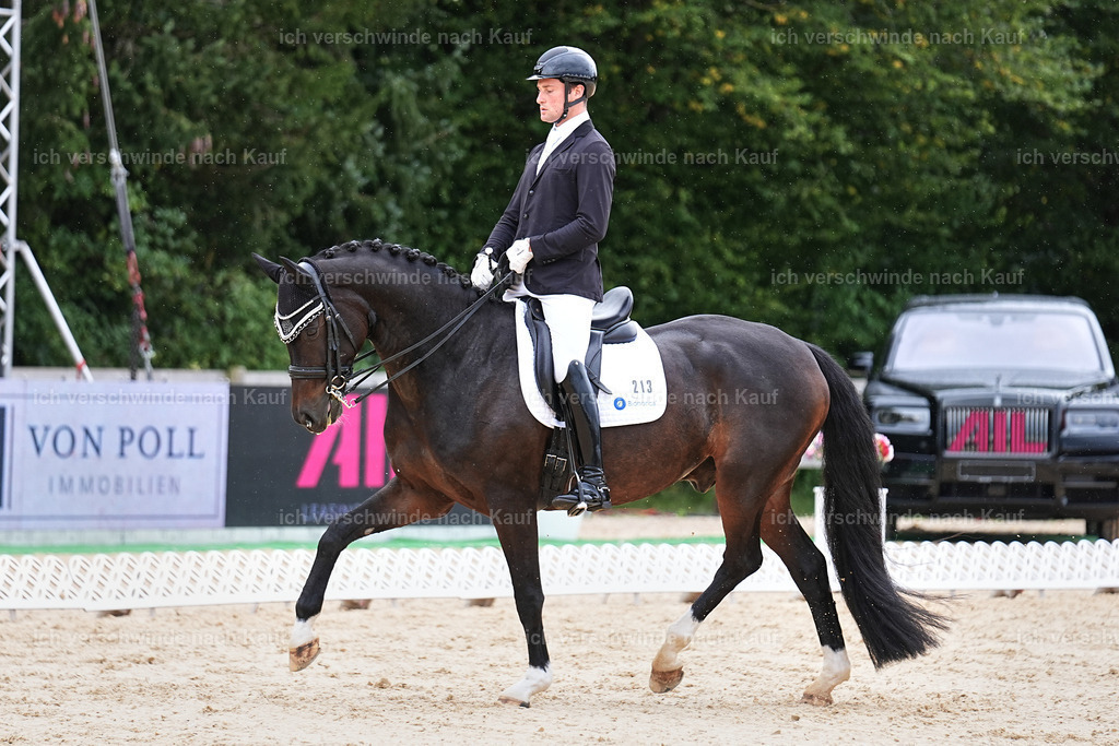 3-213-Dressur M_-Marixx-1990 | working equitationturnier fotograf videograf stoibphotography marixx film working equitation deutschland reitsport turnierfotografie eventfotografie equestrian events