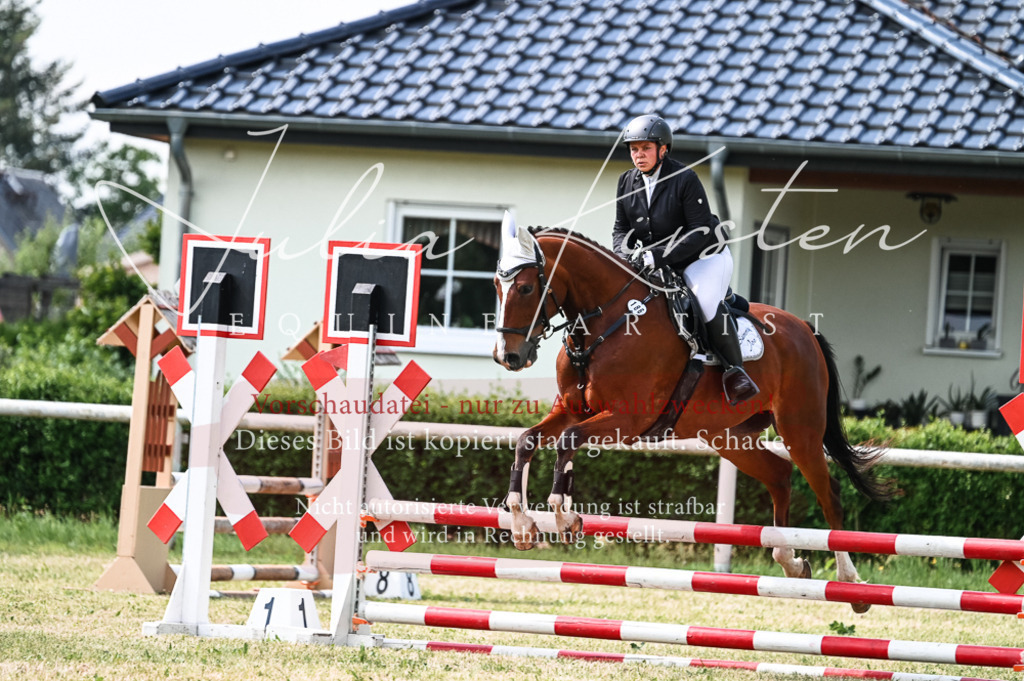 DSC_8694 | Pferde- und Turnierfotografie in Westsachsen. Pferdeportraits, Auftragszeichnungen und intuitive Kunst.