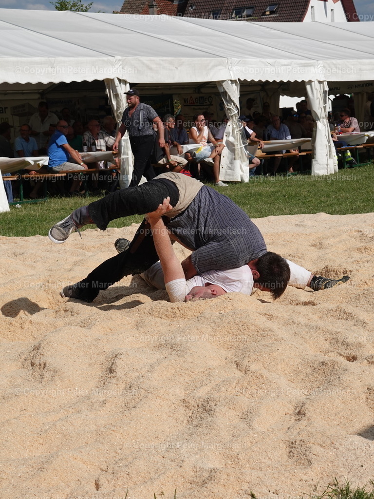 DSC05181 | Schwingen - Realisiert mit Pictrs.com