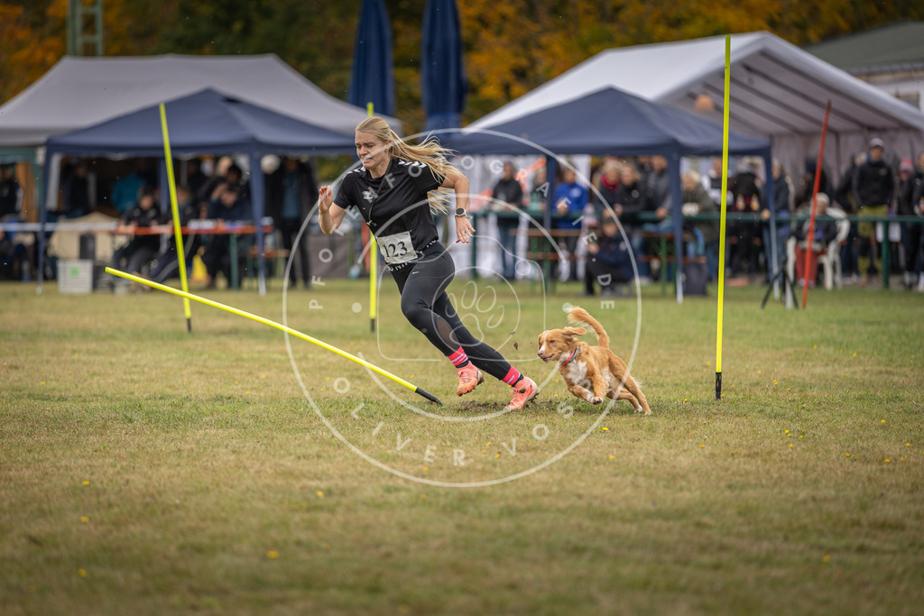 Pfotenfotografie_DV3A7470 | Hundefotografie, Tierfotograf, Pfotenfotografie, Fotoshooting Hund, Hunde Portrait, Hundesport, Hundeportraits, Heideshooting, Hunde, Sportfotograf, Hundefotograf, Turnierhundsport, THS,  - Realisiert mit Pictrs.com