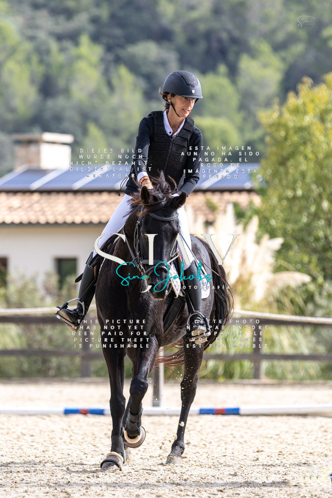 IMG_2530 | s-jay-photography - Realisiert mit Pictrs.com