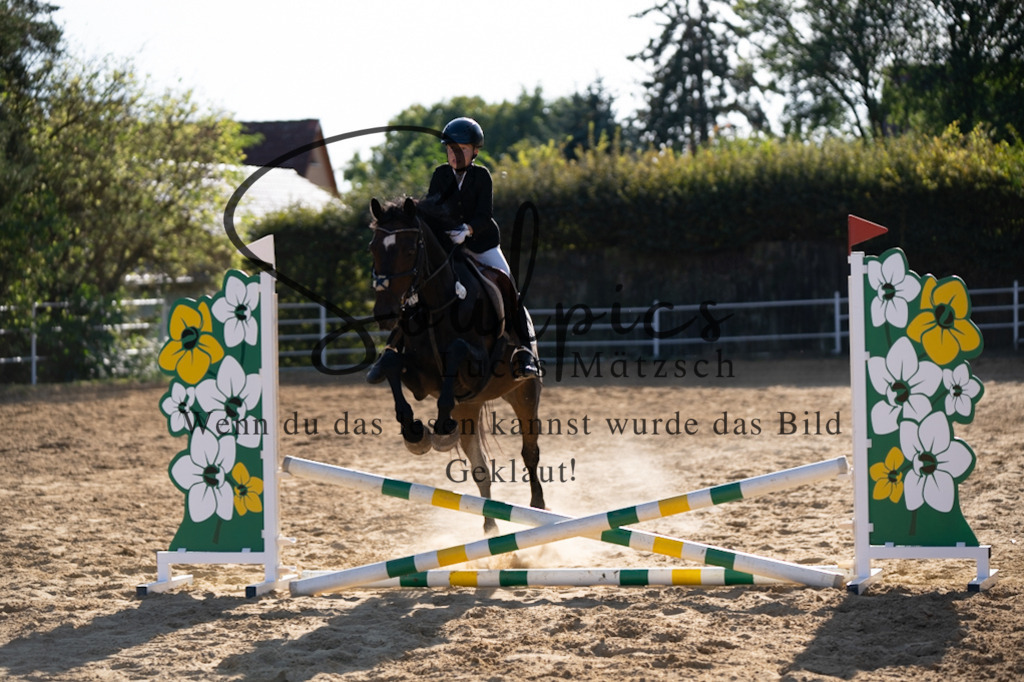 A7V02681 | Pferdefotograf