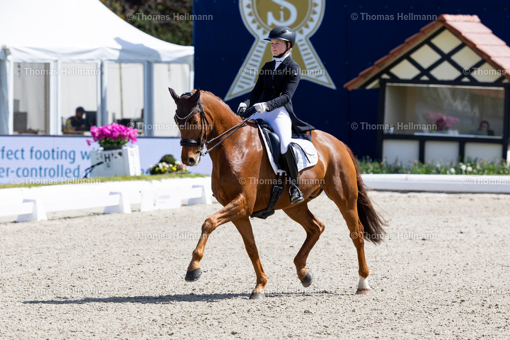 TH_305-HAASE Franziska (GER)_ ALISSIMO_36655 | Horses &amp; Dreams 2026 am 26.04.26 in Hagen a.T.W., Thomas Hellmann, 305HAASE Franziska (GER), ALISSIMO