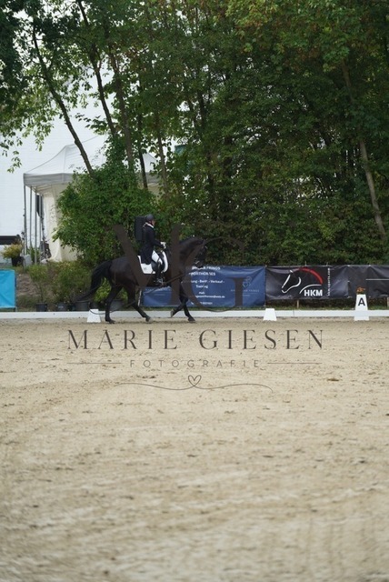 VAN04757 | Marie Giesen Fotografie - Realisiert mit Pictrs.com