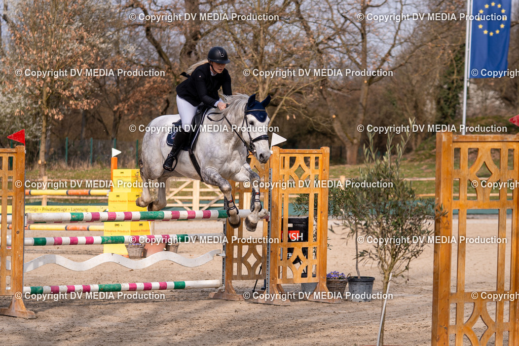 Kranichstein Tag 2-1554 | dv-media-shop - Realisiert mit Pictrs.com