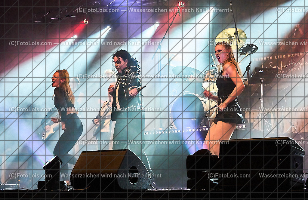 ALP7283_Tribute_Michael Jackson_Wieselburg | (C)FotoLois.com, Alois Spandl.  Michael Jackson Tribute-Konzert im Wieselburger NV-Forum, Mi 30. Oktober 2024.
