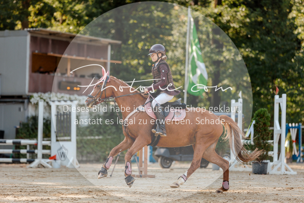 3I6A3331 | Stimmungsvolle Portraits und Reitsportfotografie im Ruhrgebiet und im Münsterland.

Pferdefotografie, Hundefotografie, Tierfotografie, Reportagen, Portraits von Tier und Mensch, Turnierfotografie in Bochum, Recklinghausen, Marl, Haltern am See, Dülmen.. - Realisiert mit Pictrs.com