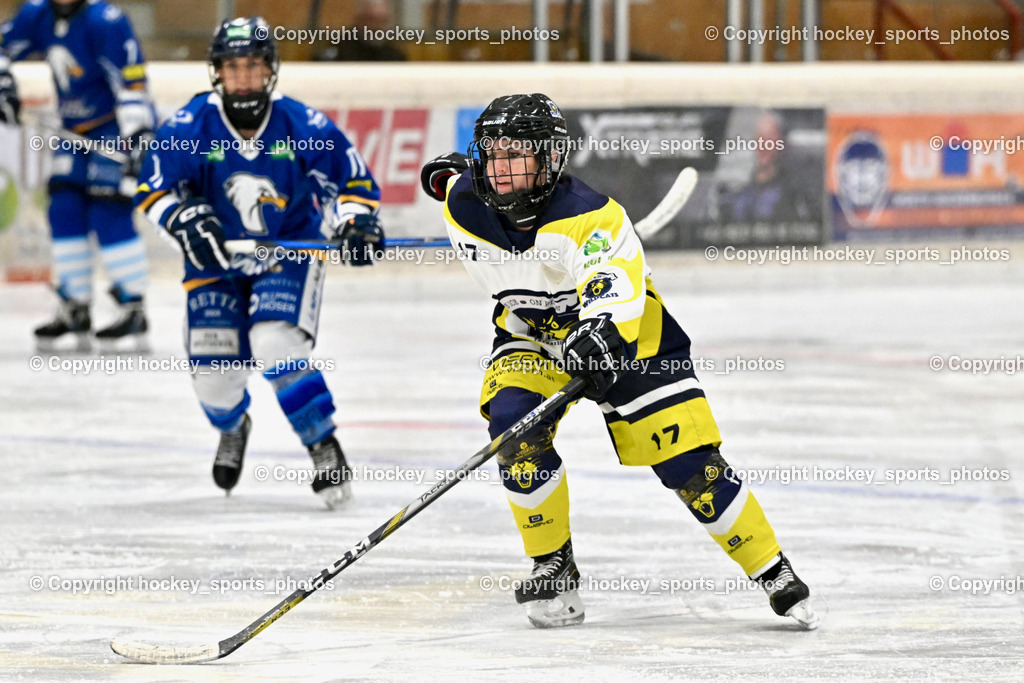 Wildcats Paternion vs. Lady Hawks  | #17 Kleindienst-Anton Anita Wildcats Paternion, Wildcats Paternion vs. Lady Hawks , Wildcats Paternion vs. Lady Hawks  am 27.01.2025 in Spittal an der Drau (Eissportzentrum Spittal), Austria, (Photo by Bernd Stefan)