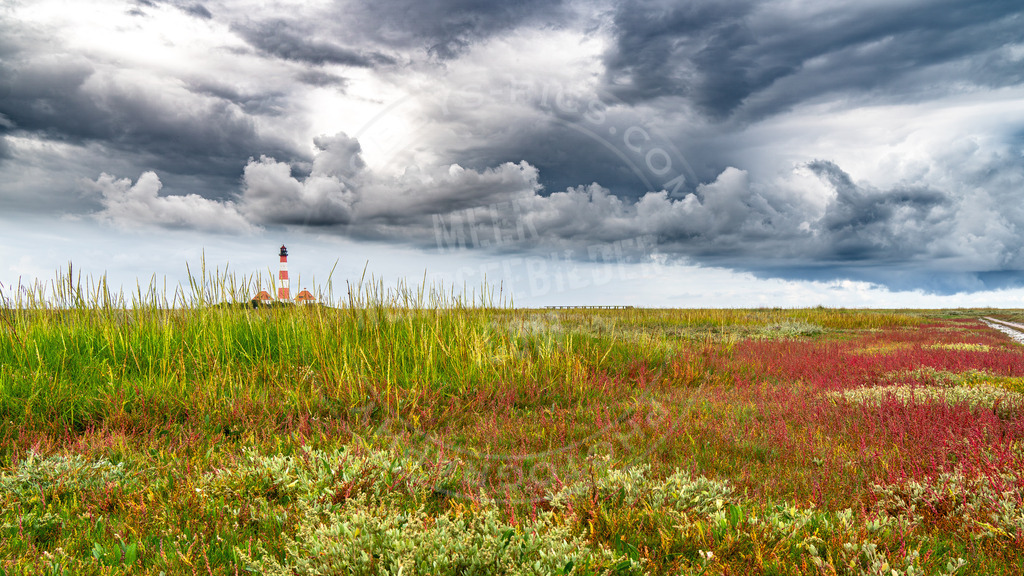 Leuchtturm Westerhever in den Salzwiesen | Leuchtturm Naturschauspiel
