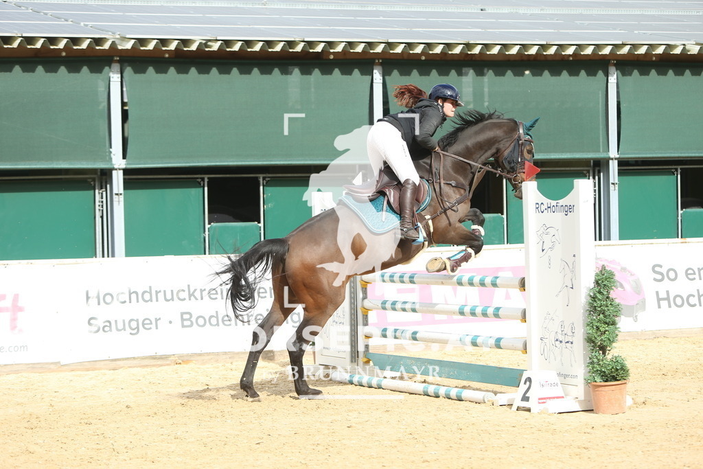 DL2Q6701 | Willkommen bei Brunnmayr - Design & Fotografie – Ihrem Spezialisten für Reitturniere und Pferdeveranstaltungen in Oberösterreich, Salzburg und Bayern! Seit über 17 Jahren sind wir leidenschaftlich dabei.