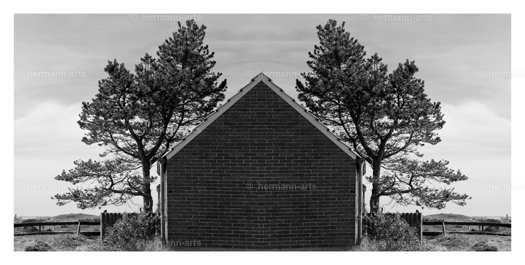 Hermann-Arts_Spiegelbilder_067 | Photo Foto Kunst Art schwarzweiss Bilder Rheine Münster Berlin Blumen 