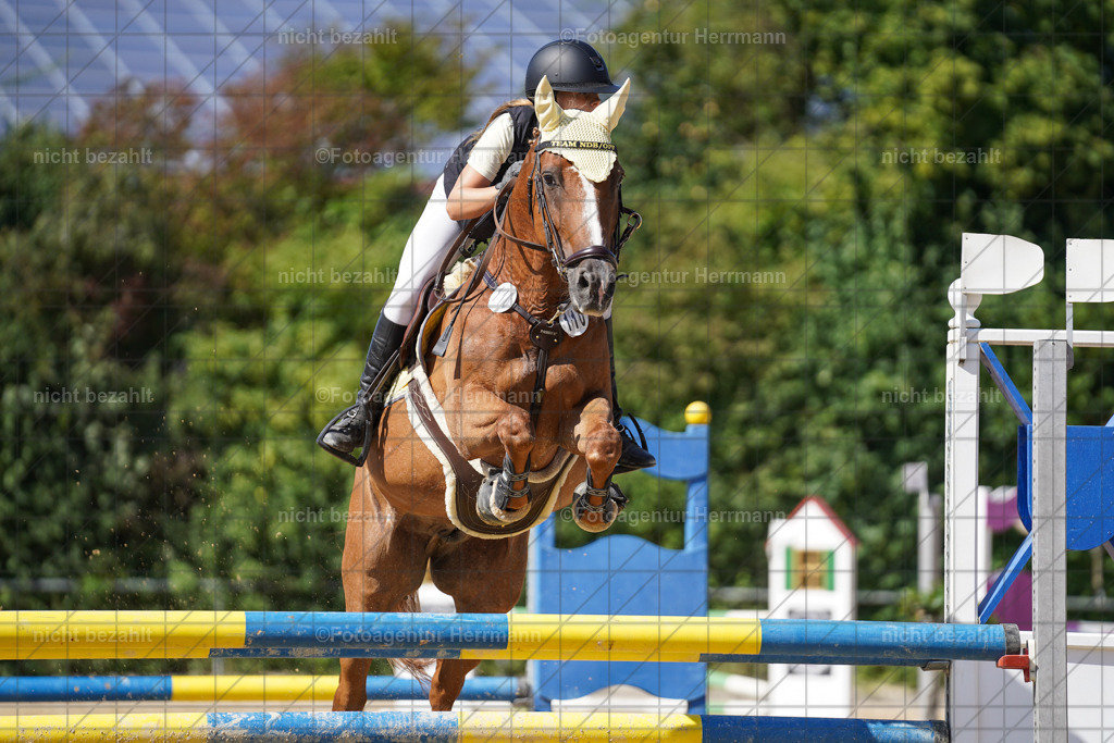 20240824-FAH08353 | Thierhaupten 2024, Bayerisches Landesponyturnier, Turnierbilder, Ponybilder, Turnierfotografen Bayern, Fotoagentur Herrmann