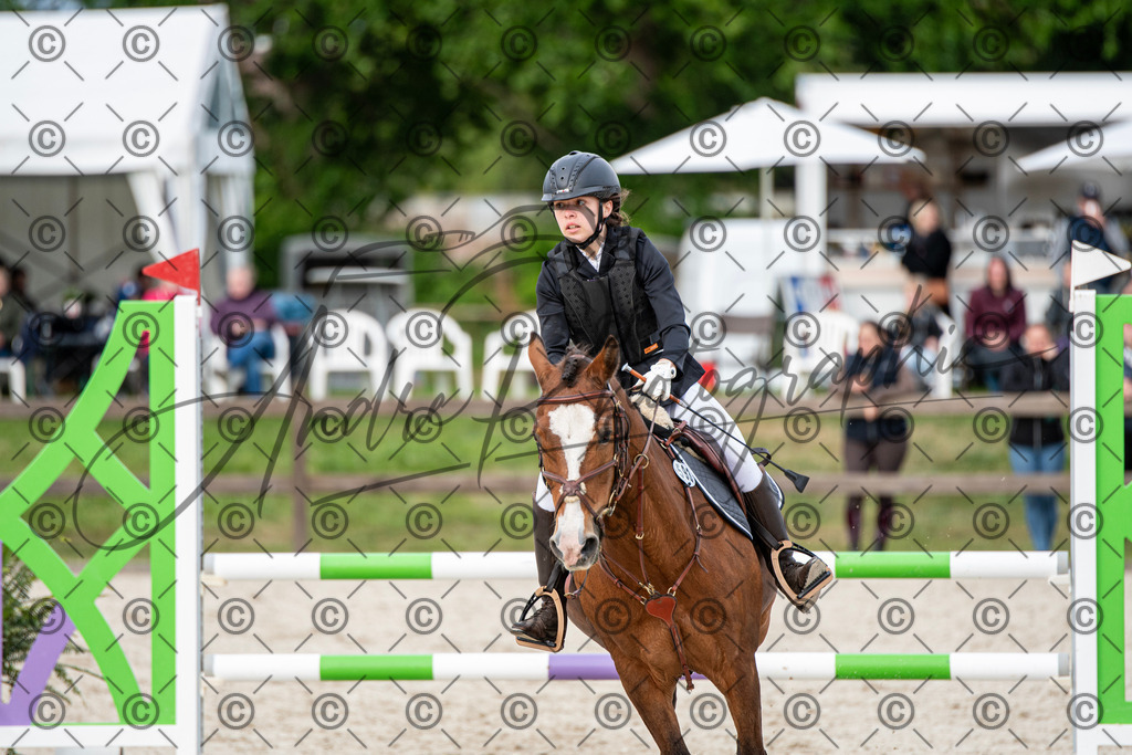 KPT_7176 | andre_photographic