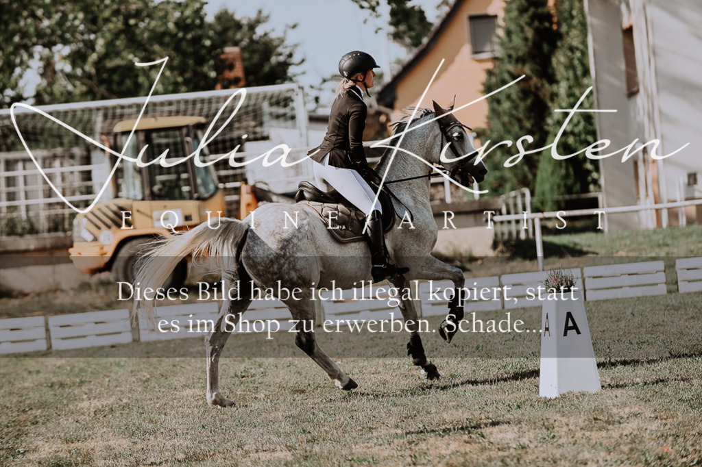 DSC_9496 | Pferde- und Turnierfotografie in Westsachsen. Pferdeportraits, Auftragszeichnungen und intuitive Kunst.