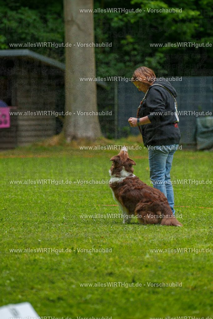 @allesWIRTHgut_Tierfotografie - www.allesWIRTHgut.de - 7R502551 | Professionelle Tierfotografie in Mönchengladbach von Daniel Wirth (allesWIRTHgut). Liebevolle & natürliche Bilder von Hunden & Katzen für unvergessliche Erinnerungen.