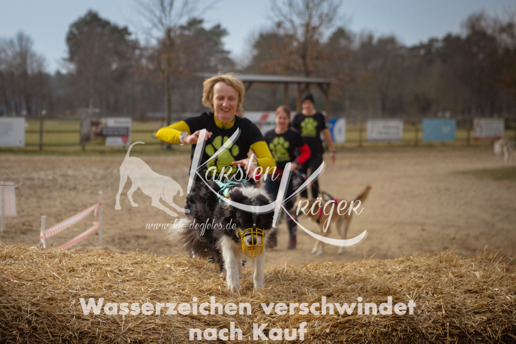 1133_ZZ94110 | kk-dogfotos