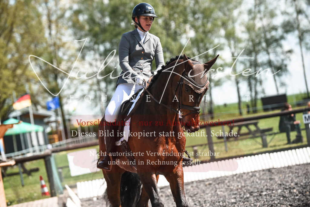 DSC_8957 | Pferde- und Turnierfotografie in Westsachsen. Pferdeportraits, Auftragszeichnungen und intuitive Kunst.