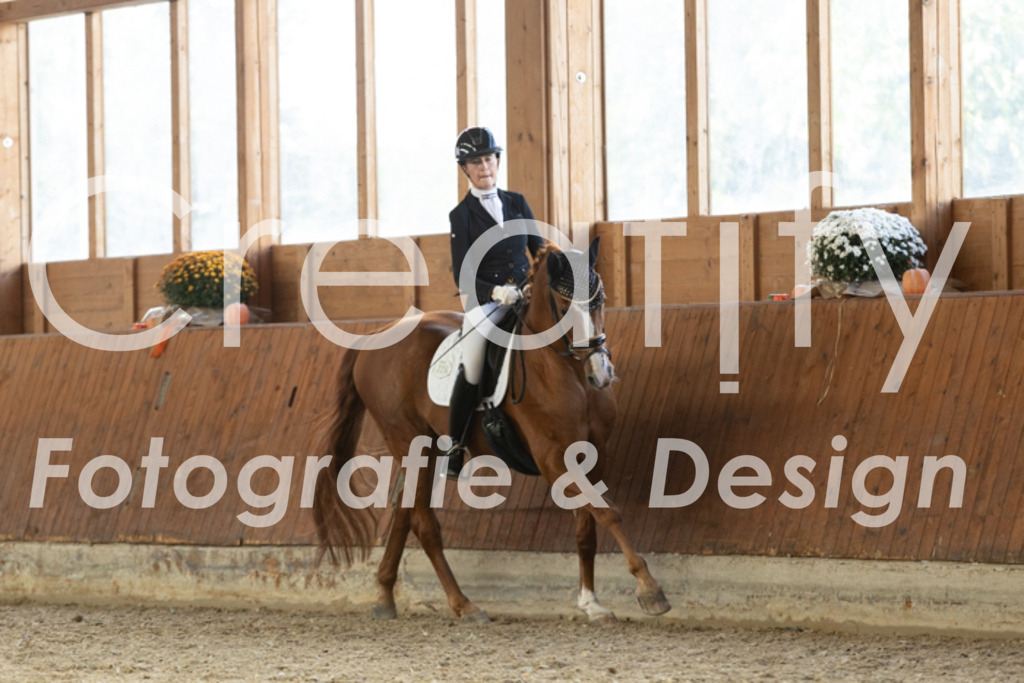 IMG_2145 | Creatify Fotografie