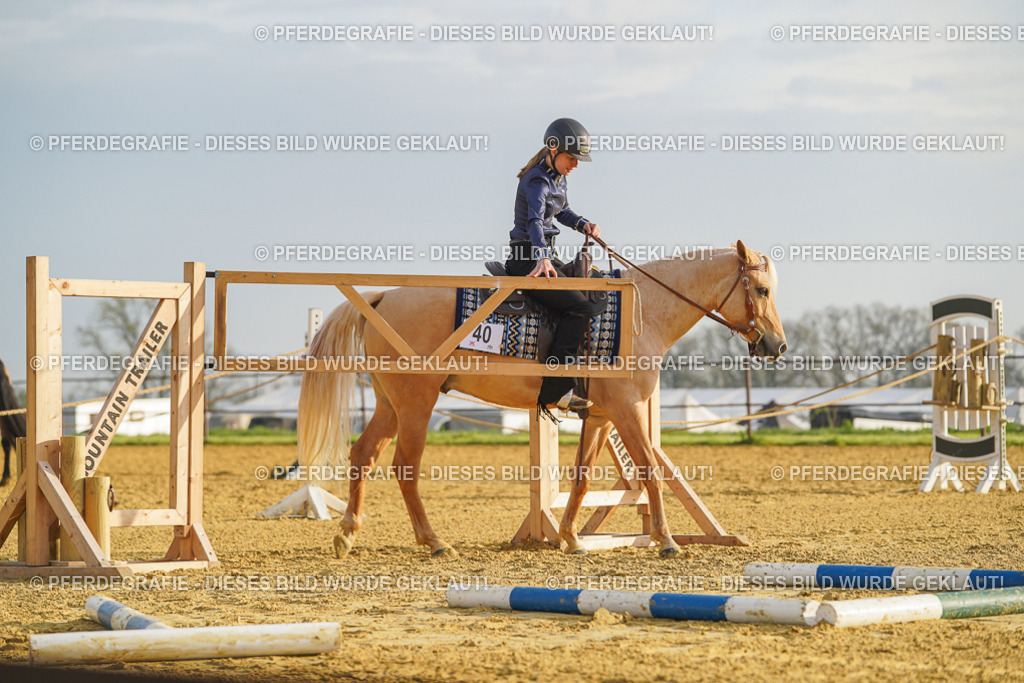 DSC00012 | Pferdegrafie