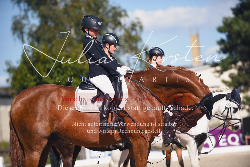 DSC_0172 | Pferde- und Turnierfotografie in Westsachsen. Pferdeportraits, Auftragszeichnungen und intuitive Kunst.