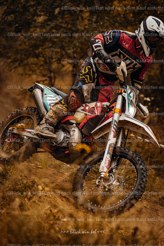 E68A3841 | blick_win_kel