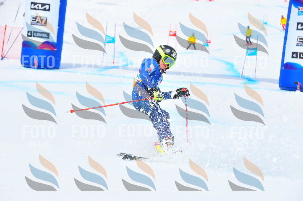 DSC_2515 | holidayphoto