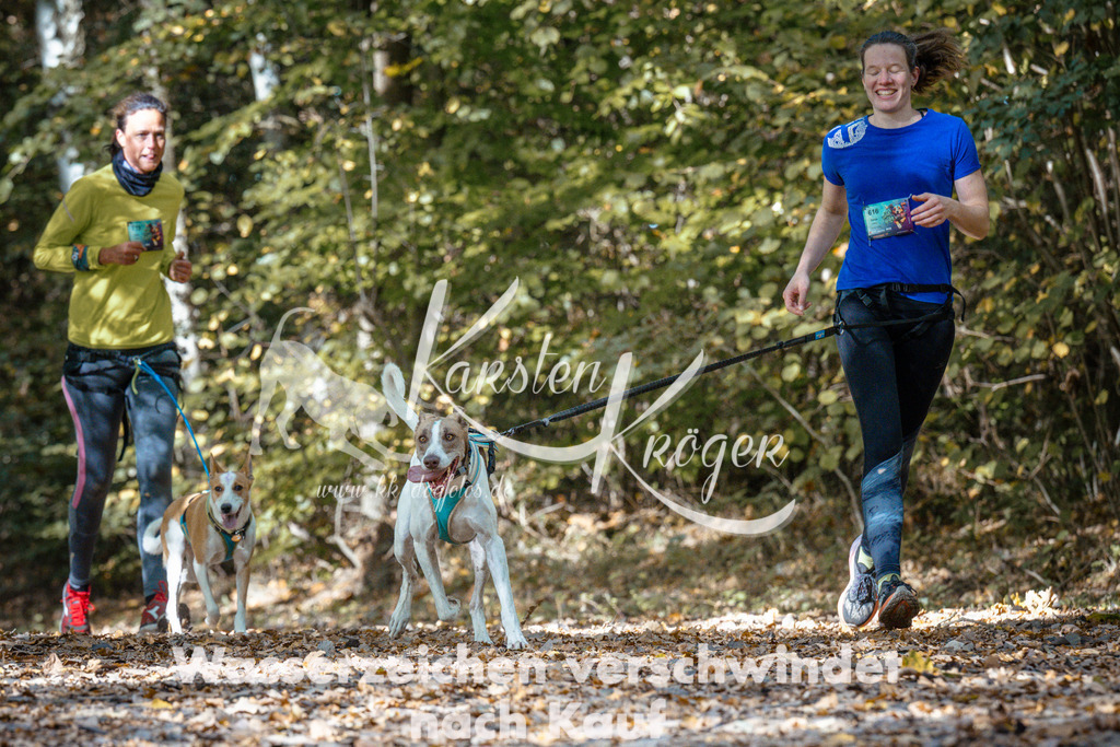 1319_ZZ97859 | kk-dogfotos