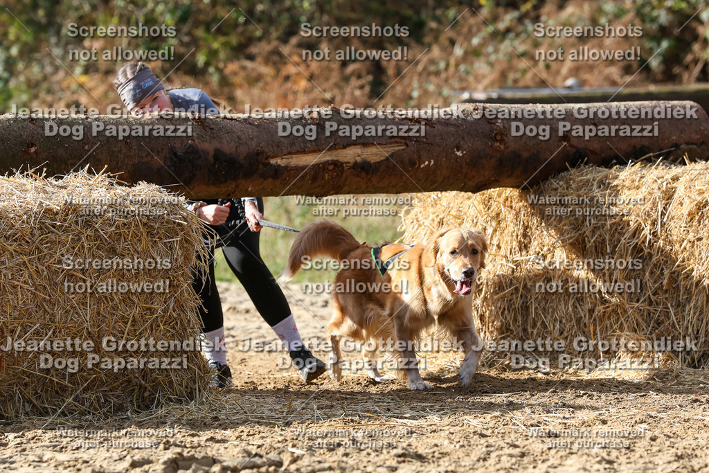 Dog Paparazzi - Strongdog 10-25-5371 | Dog Paparazzi Jeanette Grottendiek Fotografie & Videografie - Realisiert mit Pictrs.com