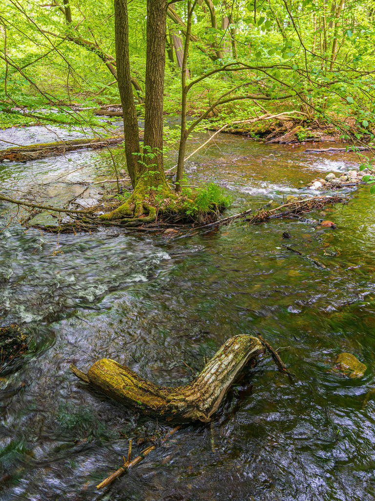 Landschaft im Nebeldurchbruchstal zwischen Serrahn und Kuchelmiß | Landschaft im Nebeldurchbruchstal zwischen Serrahn und Kuchelmiß.