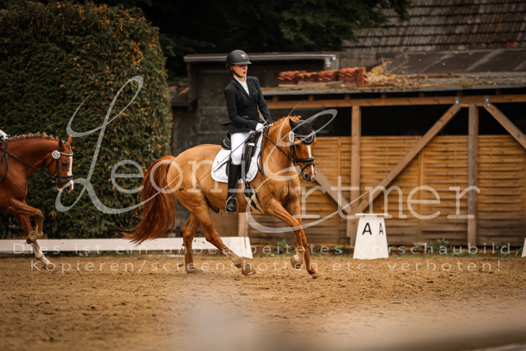 DoDrE00421 | Leoni Ertmer Photography - Realisiert mit Pictrs.com