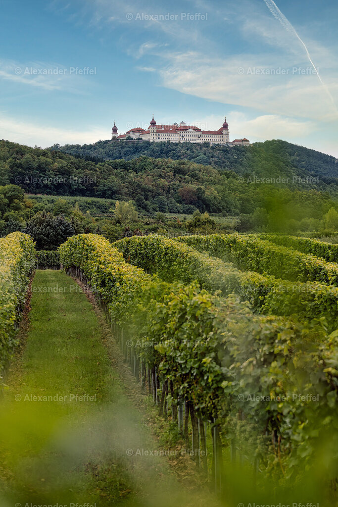 foto_c_pfeffel-partner-0027-R5_12389-Bearbeitet | alexander-pfeffel - Realisiert mit Pictrs.com