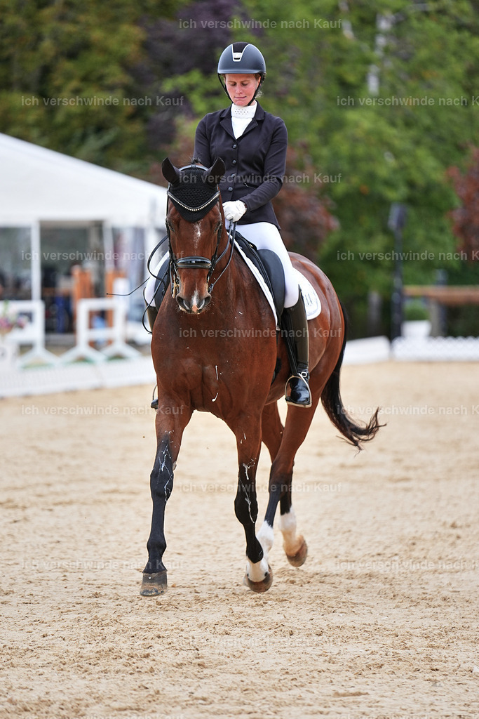 04_1-084-Dressur M__ -Marixx-2748 | working equitationturnier fotograf videograf stoibphotography marixx film working equitation deutschland reitsport turnierfotografie eventfotografie equestrian events