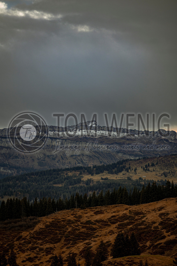 IMG_4894 | Fotos:
Tom Wenig
https://www.tomwenig.de - Realisiert mit Pictrs.com