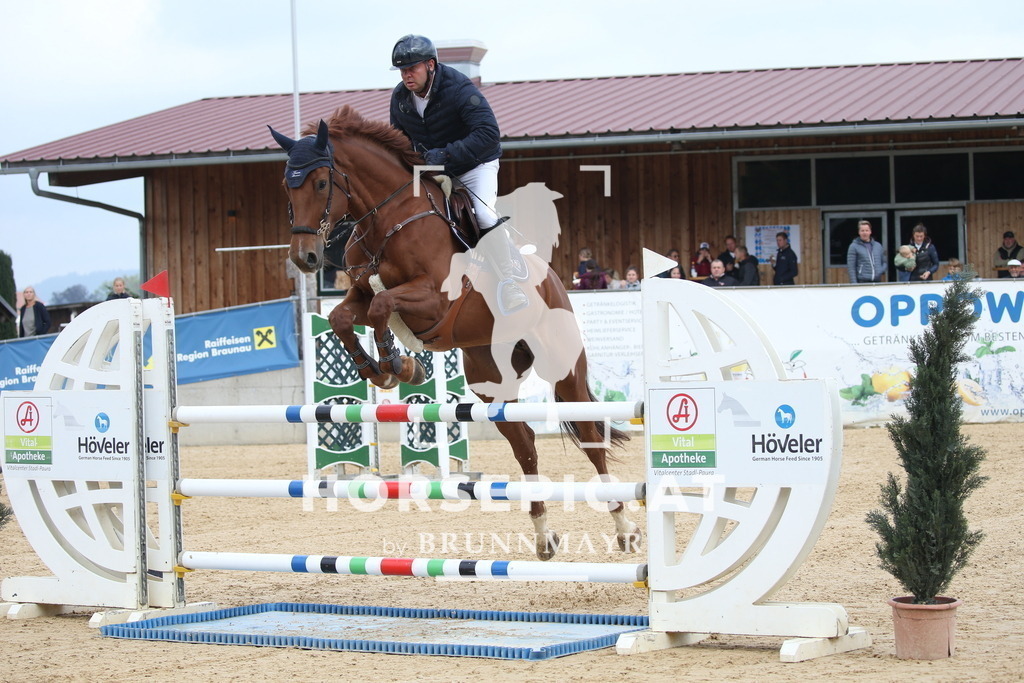 DL2Q4672 | Willkommen bei Brunnmayr - Design & Fotografie – Ihrem Spezialisten für Reitturniere und Pferdeveranstaltungen in Oberösterreich, Salzburg und Bayern! Seit über 17 Jahren sind wir leidenschaftlich dabei.