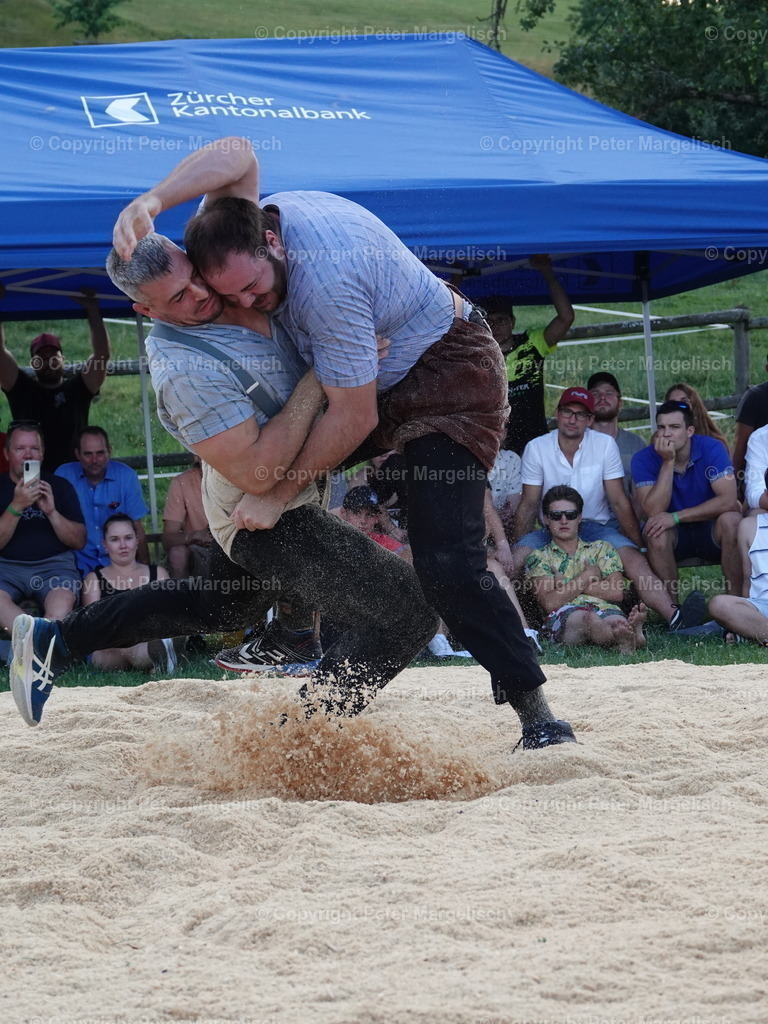 DSC05210 | Schwingen - Realisiert mit Pictrs.com