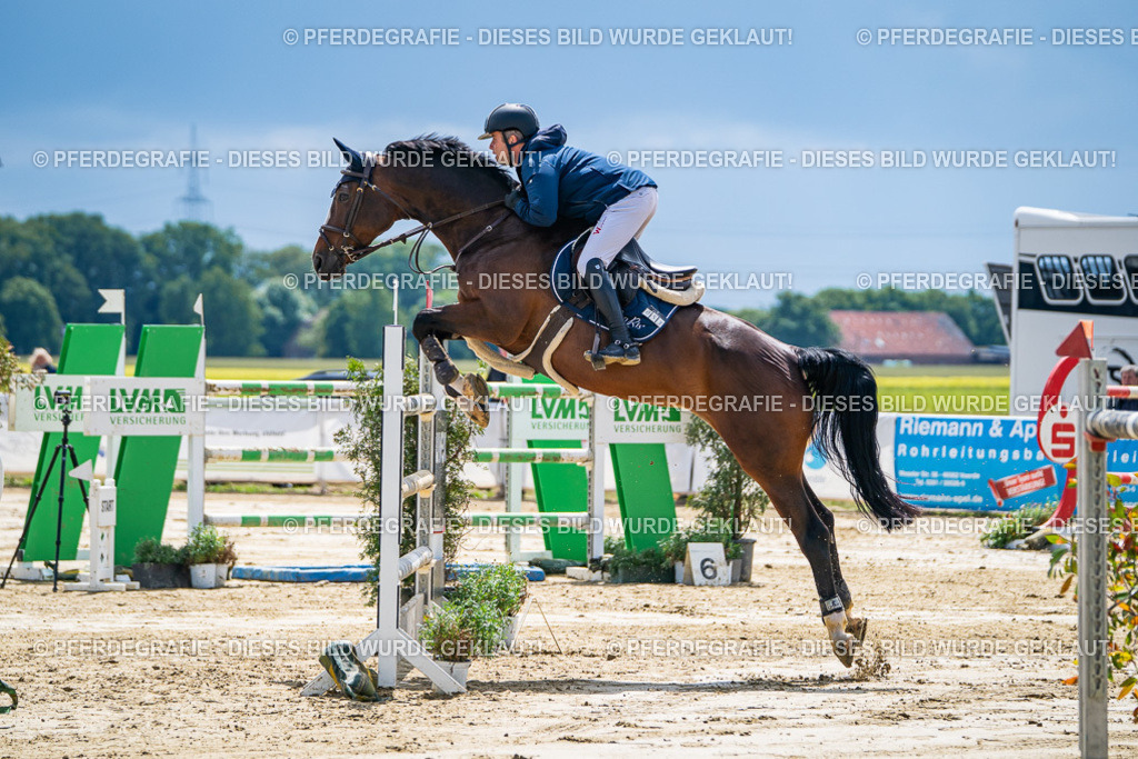 DSC05199 | Pferdegrafie