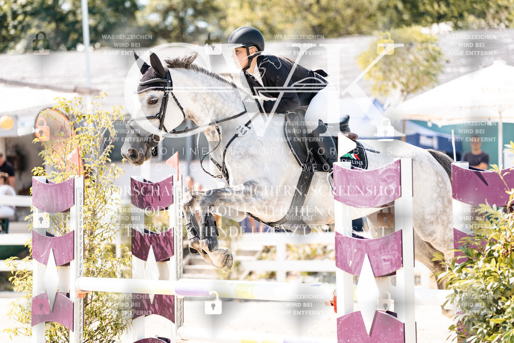 CK909114 | Turnierfotografie Pferdefotografie Trier Rheinland-Pfalz Pferdesport Reitsport Tierfotografie Sportfotografie Pferdevideo Pferdevideografie Equestrianvideography equestrianphotography  - Realisiert mit Pictrs.com