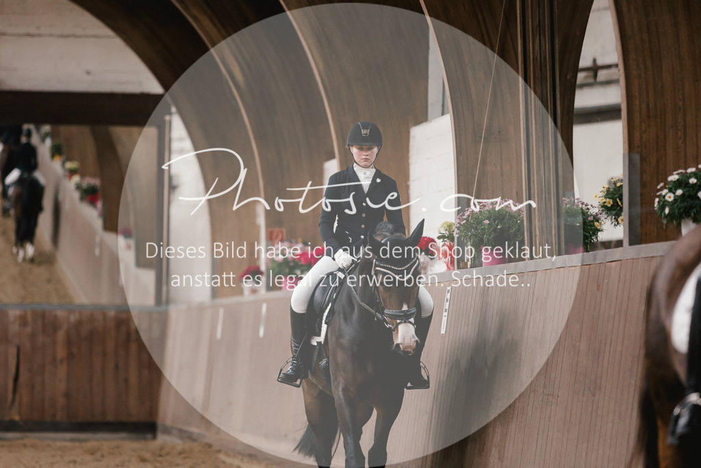 3I6A7170 | Stimmungsvolle Portraits und Reitsportfotografie im Ruhrgebiet und im Münsterland.

Pferdefotografie, Hundefotografie, Tierfotografie, Reportagen, Portraits von Tier und Mensch, Turnierfotografie in Bochum, Recklinghausen, Marl, Haltern am See, Dülmen.. - Realisiert mit Pictrs.com
