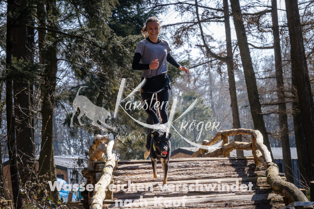 1312_ZZ94708 | kk-dogfotos