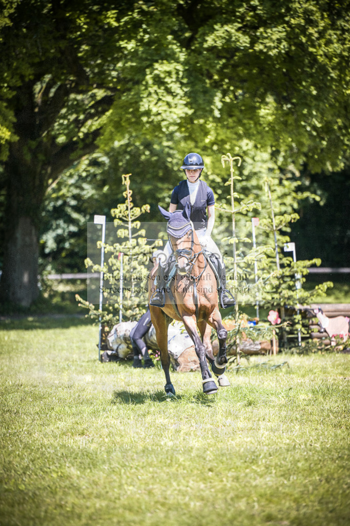 DOS_3996 | Entdecke hochwertige Reitturnierfotos von Foto Oger. Professionell, emotional und authentisch – jetzt Lieblingsmomente im Shop bestellen.Deutschlandweite Turnierfotografie. - Realisiert mit Pictrs.com